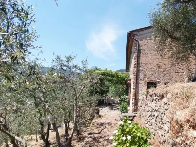 Holiday house Up to 5 people near Pisa with private pool - Outdoor photo 4