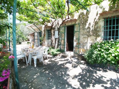 Holiday house Up to 5 people near Pisa with private pool - Outdoor photo 6