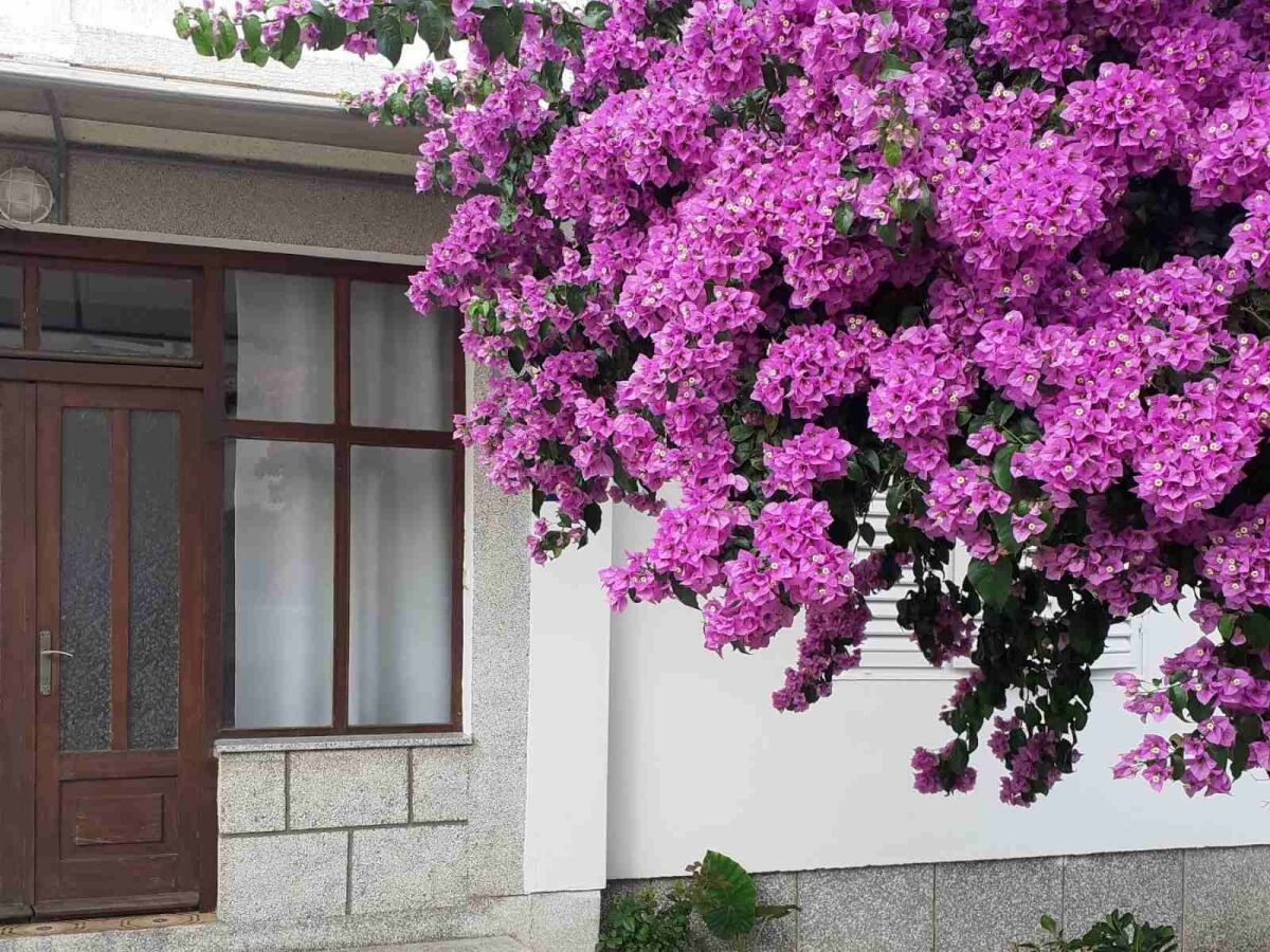 Apartment Two bedroom apartment with terrace Rab A-24792-b - Outdoor photo 2