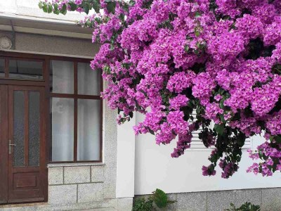 Apartment Two bedroom apartment with terrace Rab A-24792-b - Outdoor photo 2