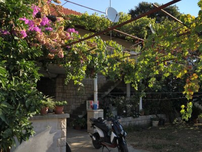 Apartment Comfortable and spacious apartment with terrace Lumbarda, Korčula A-179-a - Outdoor photo 10
