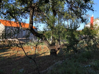 Apartment Comfortable and spacious apartment with terrace Lumbarda, Korčula A-179-a - Outdoor photo 41