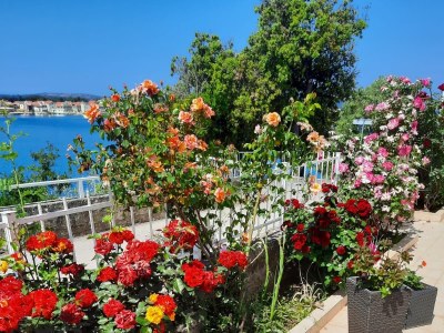 Apartment Three bedroom apartment near beach Brodarica, Šibenik A-921-a - Outdoor photo 10