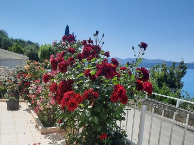Apartment Three bedroom apartment near beach Brodarica, Šibenik A-921-a - Outdoor photo 12