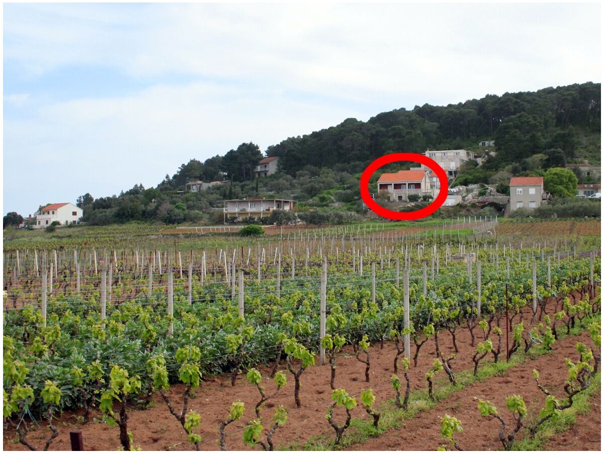 Apartment Two bedroom apartment with terrace and sea view Lumbarda, Korčula A-4352-a - Outdoor photo 3