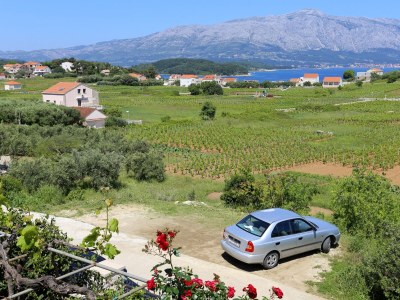 Apartment Two bedroom apartment with terrace and sea view Lumbarda, Korčula A-4352-a - Outdoor photo 13