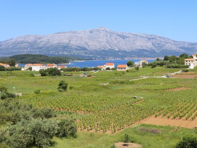 Apartment Two bedroom apartment with terrace and sea view Lumbarda, Korčula A-4352-a - Outdoor photo 28