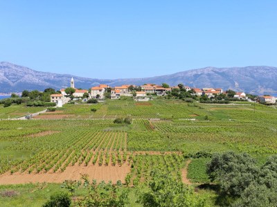 Apartment Two bedroom apartment with terrace and sea view Lumbarda, Korčula A-4352-a - Outdoor photo 29