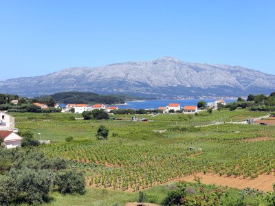 Apartment Two bedroom apartment with terrace and sea view Lumbarda, Korčula A-4352-a - Outdoor photo 32