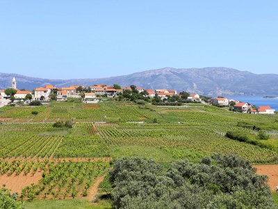 Apartment Two bedroom apartment with terrace and sea view Lumbarda, Korčula A-4352-a - Outdoor photo 33