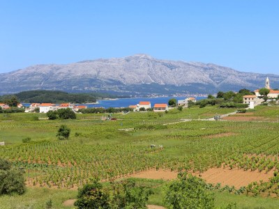 Apartment Two bedroom apartment with terrace and sea view Lumbarda, Korčula A-4352-c - Outdoor photo 30