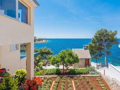 Apartment One bedroom apartment near beach Bilo, Primošten A-4176-b - Outdoor photo 9