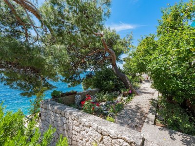 Apartment One bedroom apartment near beach Bilo, Primošten A-4176-b - Outdoor photo 12