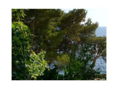 Apartment One bedroom apartment near beach Bilo, Primošten A-4176-b - Outdoor photo 23