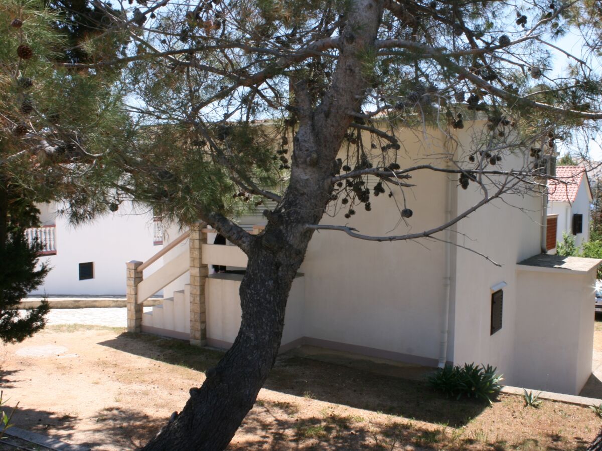 Apartment Apartments by the sea Stara Novalja, Pag - 4144 - Apartments by the sea Stara Novalja, Pag - 4144 - Outdoor photo 4