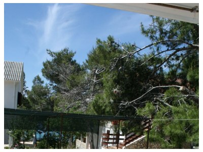 Apartment Apartments by the sea Stara Novalja, Pag - 4144 - Apartments by the sea Stara Novalja, Pag - 4144 - Outdoor photo 18