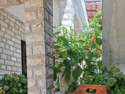 Apartment Two bedroom apartment near beach Vinišće, Trogir A-4288-c - Outdoor photo 13