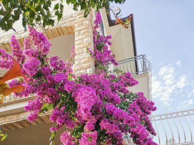 Apartment Two bedroom apartment near beach Vinišće, Trogir A-4288-c - Outdoor photo 14