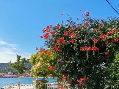 Apartment Two bedroom apartment near beach Vinišće, Trogir A-4288-c - Outdoor photo 15