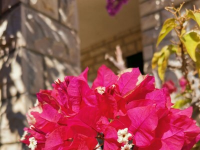 Apartment Two bedroom apartment near beach Vinišće, Trogir A-4288-c - Outdoor photo 19
