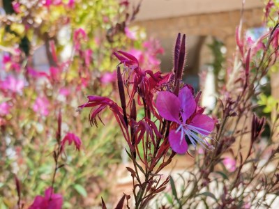 Apartment Two bedroom apartment near beach Vinišće, Trogir A-4288-c - Outdoor photo 20