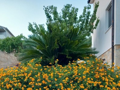 Apartment Three bedroom apartment with terrace and sea view Poljica, Trogir A-24016-a - Outdoor photo 6
