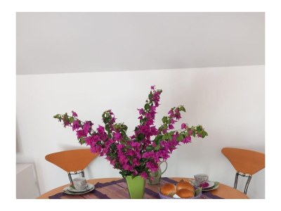 Apartment Three bedroom apartment with terrace and sea view Poljica, Trogir A-24016-a - Outdoor photo 10