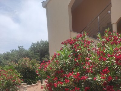 Apartment One bedroom apartment with terrace and sea view Vinišće, Trogir A-8660-b - Outdoor photo 14