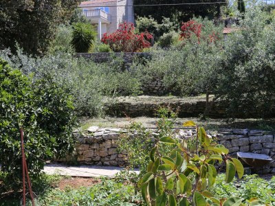 Apartment Three bedroom apartment near beach Lumbarda, Korčula A-4442-a - Outdoor photo 35