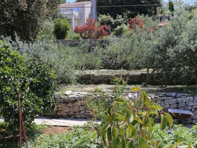 Apartment One bedroom apartment near beach Lumbarda, Korčula A-4442-b - Outdoor photo 7