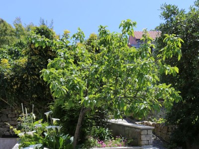 Apartment Studio flat near beach Lumbarda, Korčula AS-4442-a - Outdoor photo 9