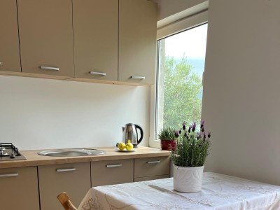 Apartment Studio flat near beach Lumbarda, Korčula AS-4442-a - Outdoor photo 13