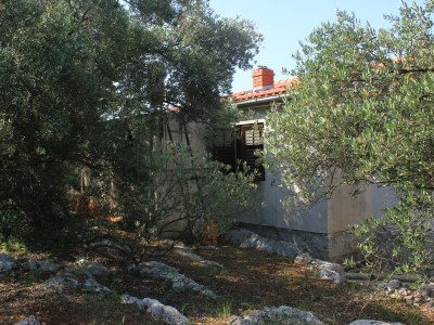 Apartment Two bedroom apartment near beach Cove Magrovica - Telašćica, Dugi otok A-8139-a - Outdoor photo 7