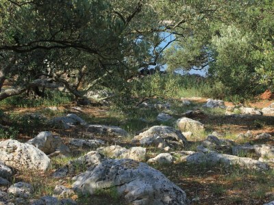 Apartment Two bedroom apartment near beach Cove Magrovica - Telašćica, Dugi otok A-8139-a - Outdoor photo 12