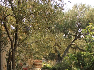 Apartment Two bedroom apartment near beach Cove Magrovica - Telašćica, Dugi otok A-8139-a - Outdoor photo 14