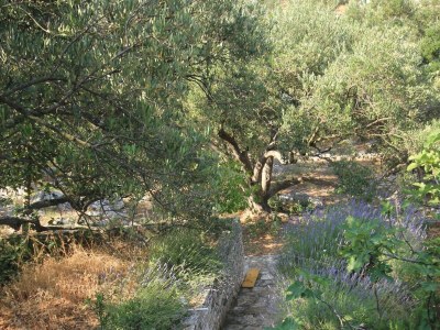 Apartment Two bedroom apartment near beach Cove Magrovica - Telašćica, Dugi otok A-8139-a - Outdoor photo 18