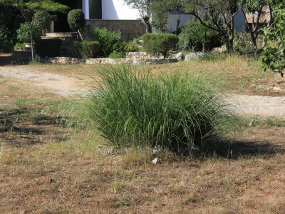 Apartment Two bedroom apartment near beach Cove Magrovica - Telašćica, Dugi otok A-8139-a - Outdoor photo 20