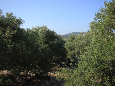 Apartment Two bedroom apartment near beach Cove Magrovica - Telašćica, Dugi otok A-8139-a - Outdoor photo 39