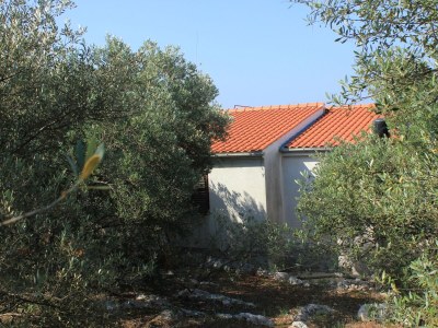 Apartment Two bedroom apartment near beach Cove Magrovica - Telašćica, Dugi otok A-8139-b - Outdoor photo 8