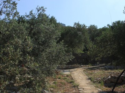 Apartment Two bedroom apartment near beach Cove Magrovica - Telašćica, Dugi otok A-8139-b - Outdoor photo 14