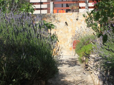 Apartment Two bedroom apartment near beach Cove Magrovica - Telašćica, Dugi otok A-8139-b - Outdoor photo 16