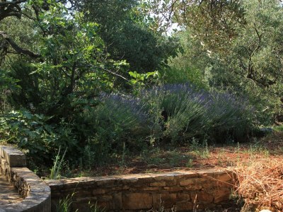 Apartment Two bedroom apartment near beach Cove Magrovica - Telašćica, Dugi otok A-8139-b - Outdoor photo 18