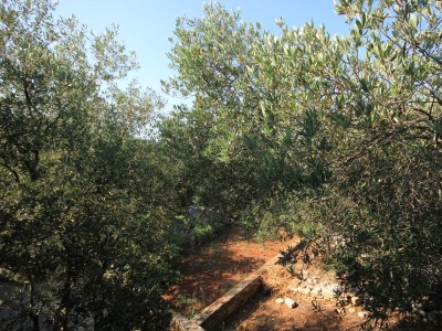 Apartment Two bedroom apartment near beach Cove Magrovica - Telašćica, Dugi otok A-8139-b - Outdoor photo 37