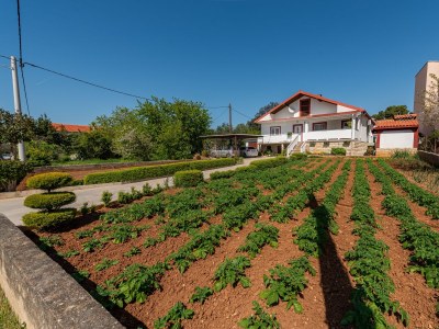 Apartment Two bedroom apartment with terrace Bibinje, Zadar A-24491-a - Outdoor photo 4