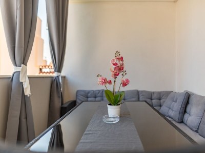 Apartment Two bedroom apartment with terrace Bibinje, Zadar A-24491-a - Outdoor photo 29