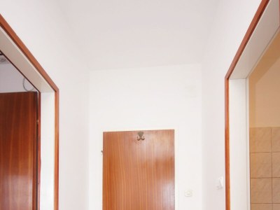 Apartment One bedroom apartment near beach Kučište - Perna, Pelješac A-4544-b - Outdoor photo 15