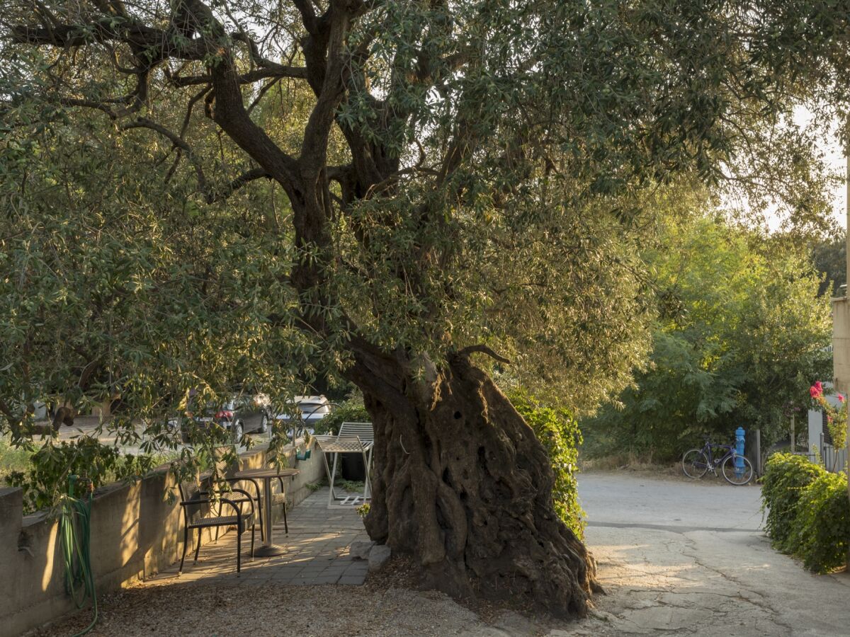 Apartment Studio flat with terrace Žuljana, Pelješac AS-4573-c - Outdoor photo 3