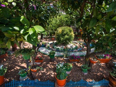 Apartment One bedroom apartment with terrace Orebić, Pelješac A-4579-a - Outdoor photo 5