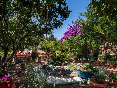 Apartment One bedroom apartment with terrace Orebić, Pelješac A-4579-a - Outdoor photo 6