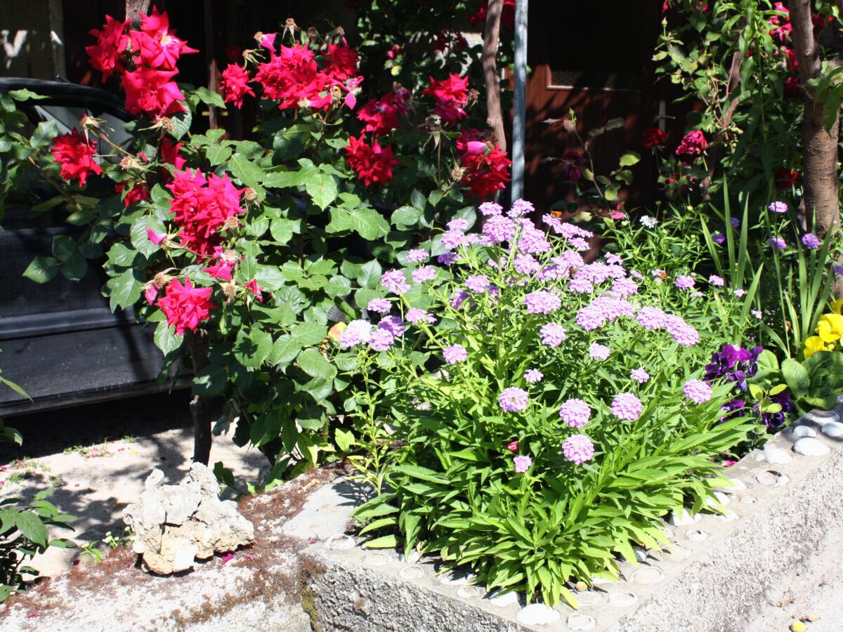 Apartment One bedroom apartment with terrace and sea view Supetarska Draga - Donja, Rab A-4981-b - Outdoor photo 5